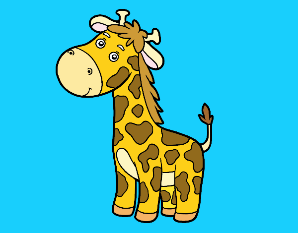A giraffe