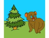 Bear and fir tree