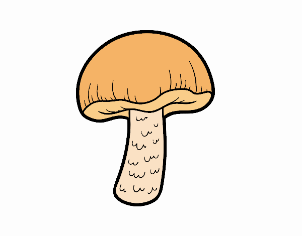 One mushroom