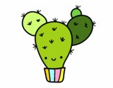 Cactus pear