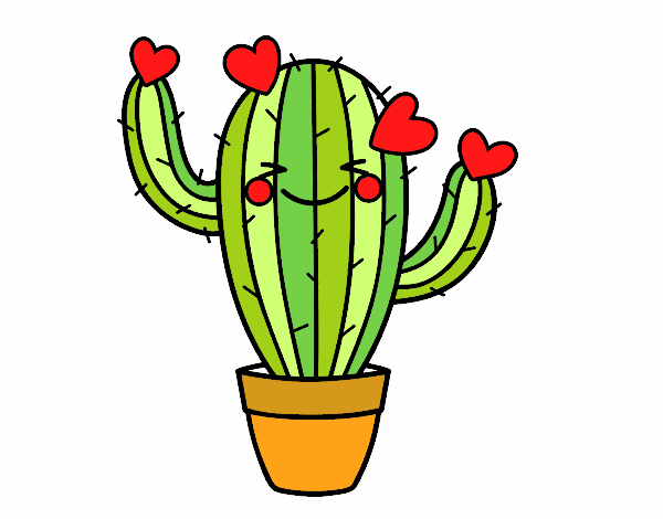 Heart cactus