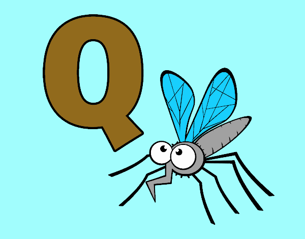 Q of Mosquito