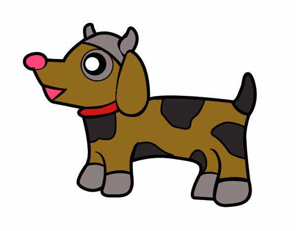 Dog-cow