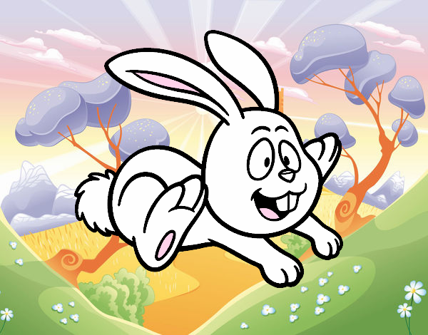 Jumping rabbit