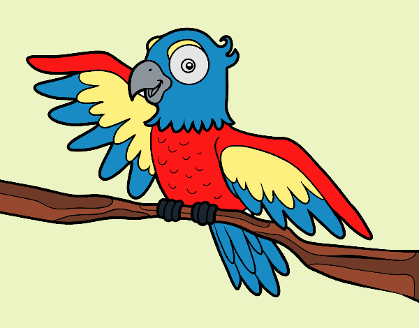 Parrot in freedom