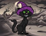 Bewitched cat