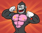 Strong gorilla