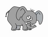 Bashful elephant