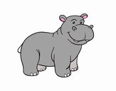 An African hippo
