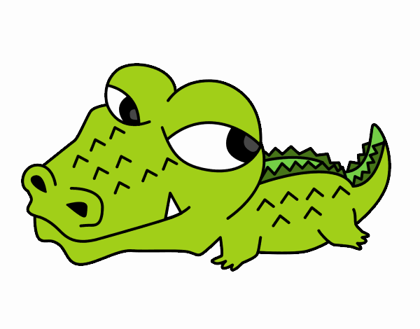Little crocodile