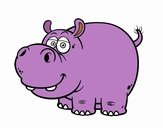 The hippopotamus