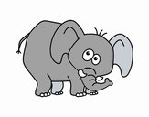 Bashful elephant