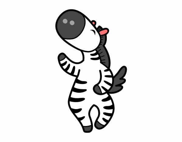 Dancing zebra
