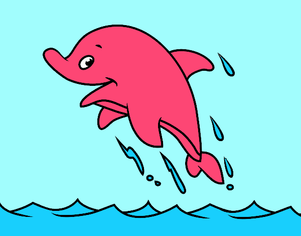 Sympathetic dolphin
