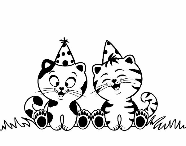 Birthday cats