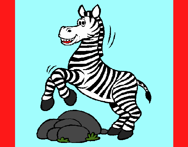 Zebra jumping over rocks