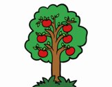 An apple tree