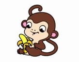 Monkey with banana