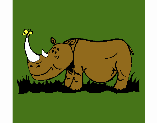 Rhinoceros and butterfly