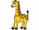 Giraffe 5