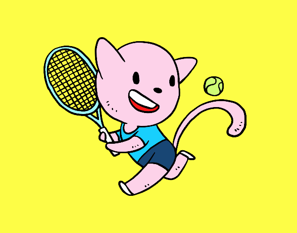Tenis cat