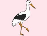 Stork 1