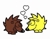Hedgehogs in love