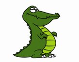 An alligator