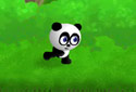 An adventurous panda